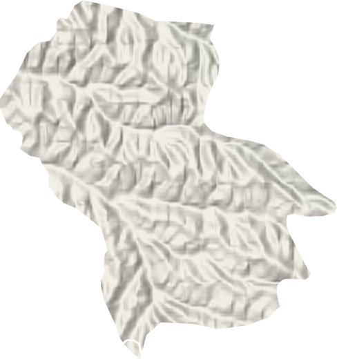 招贤镇地形地图