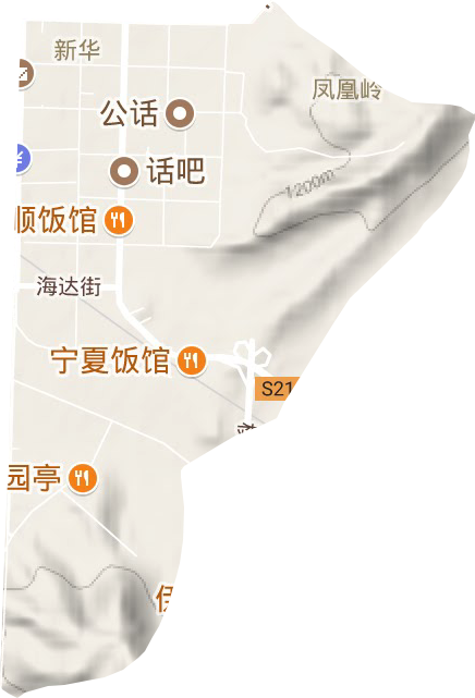 新华街道地形地图