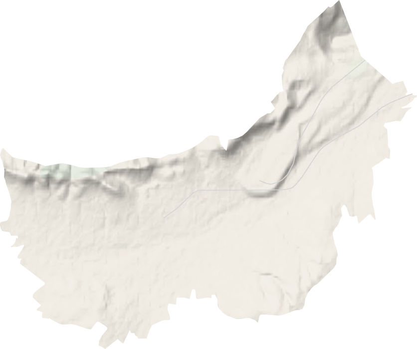 五家镇地形地图