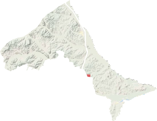 新林镇地形地图