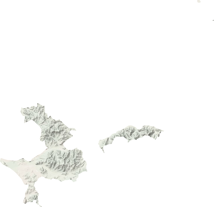 林业总场地形地图