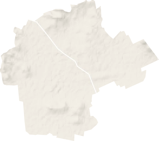 万寿滩良种场地形地图