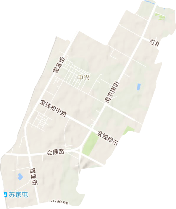 中兴街道地形地图