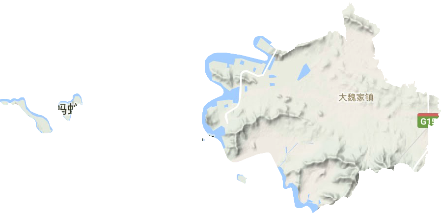 大魏家街道地形地图