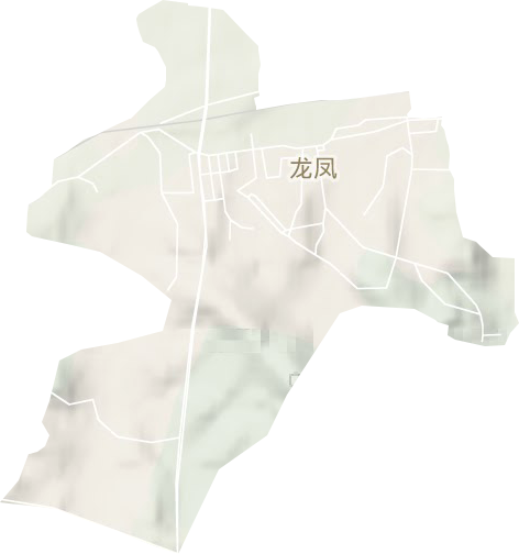 龙凤街道地形地图