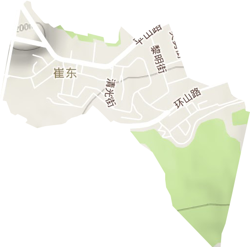 崔东街道地形地图